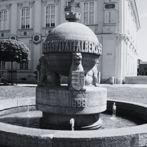 A székesfehérvári üzleti közösség ereje